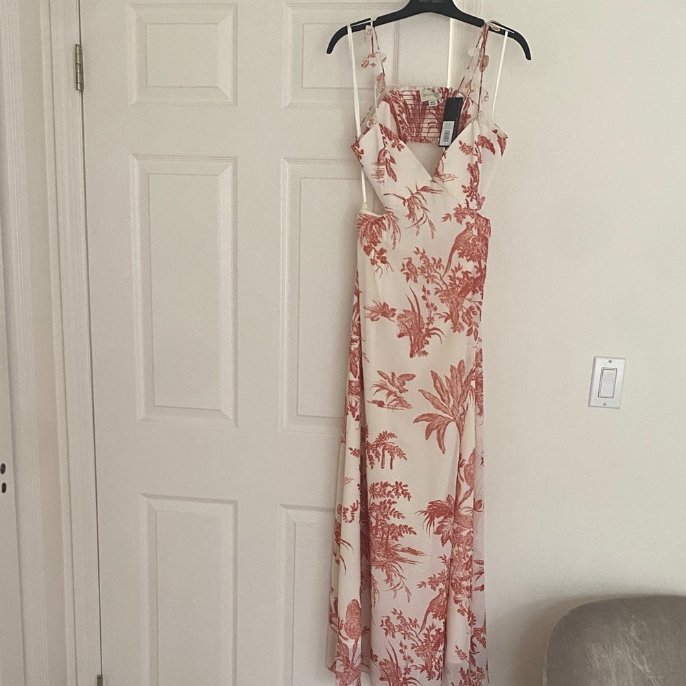 Sachin + Babi Red and Cream Botanical Maxi Dress